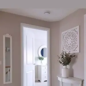 راكو للمظلات والسواتر | دهانات